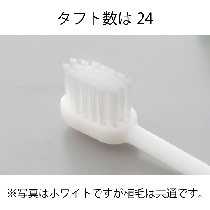 メール便で送料無料】ダイト ハニービー24穴 歯ブラシ 10本セット