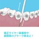 �ڥ᡼���ؤ�����̵����Ci �ե������꡼�ʡ� �Υ�ե졼�С� 30���� 3Ȣ���å�(90��)