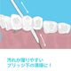 �ڥ᡼���ؤ�����̵����Ci �ե������꡼�ʡ� �Υ�ե졼�С� 30���� 5Ȣ���å�(��150��)