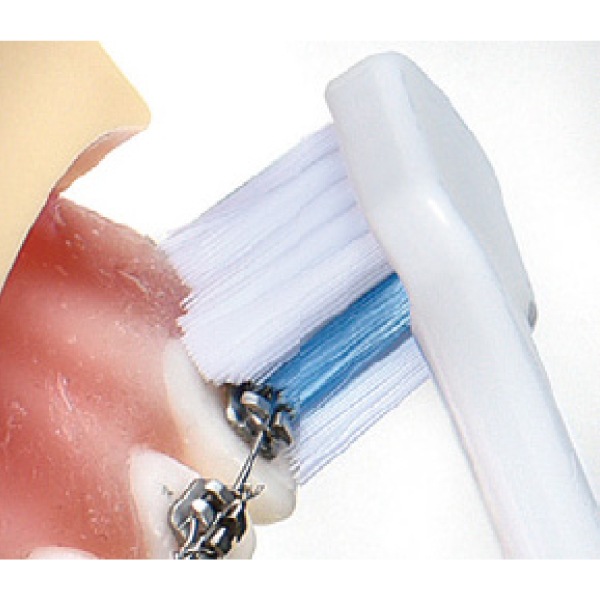 �ڡ�25%OFF 4/23 23:59���ۥꥻ��U M�դĤ� 1Ȣ(30����) ���֥饷 ���� ����ץ���