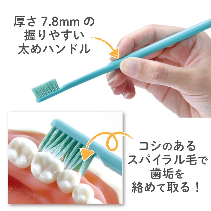 LION Systema SP-Tジェル Plusと歯科用歯ブラシ24本(Sやわらかめ)のセット