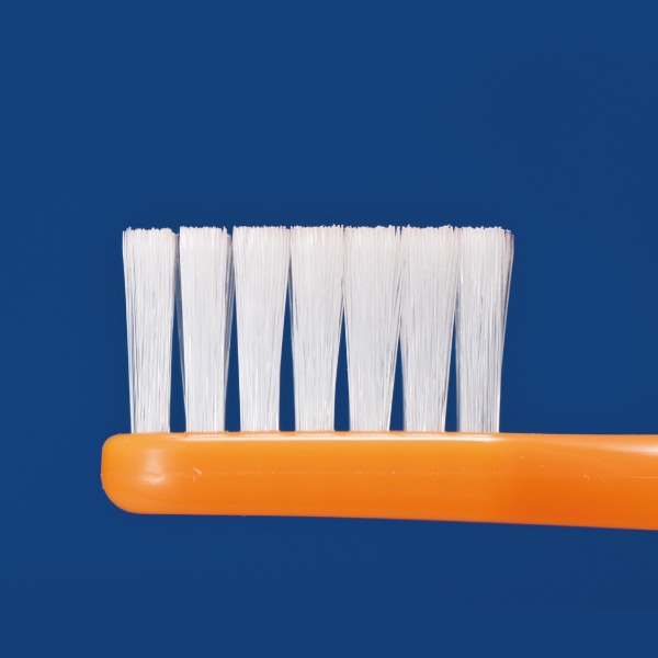 Ci 702 �����إå� / �饦����� M�դĤ� / 1�ܢ�����åפʤ���Ci��ǥ����� ���֥饷��ci700series