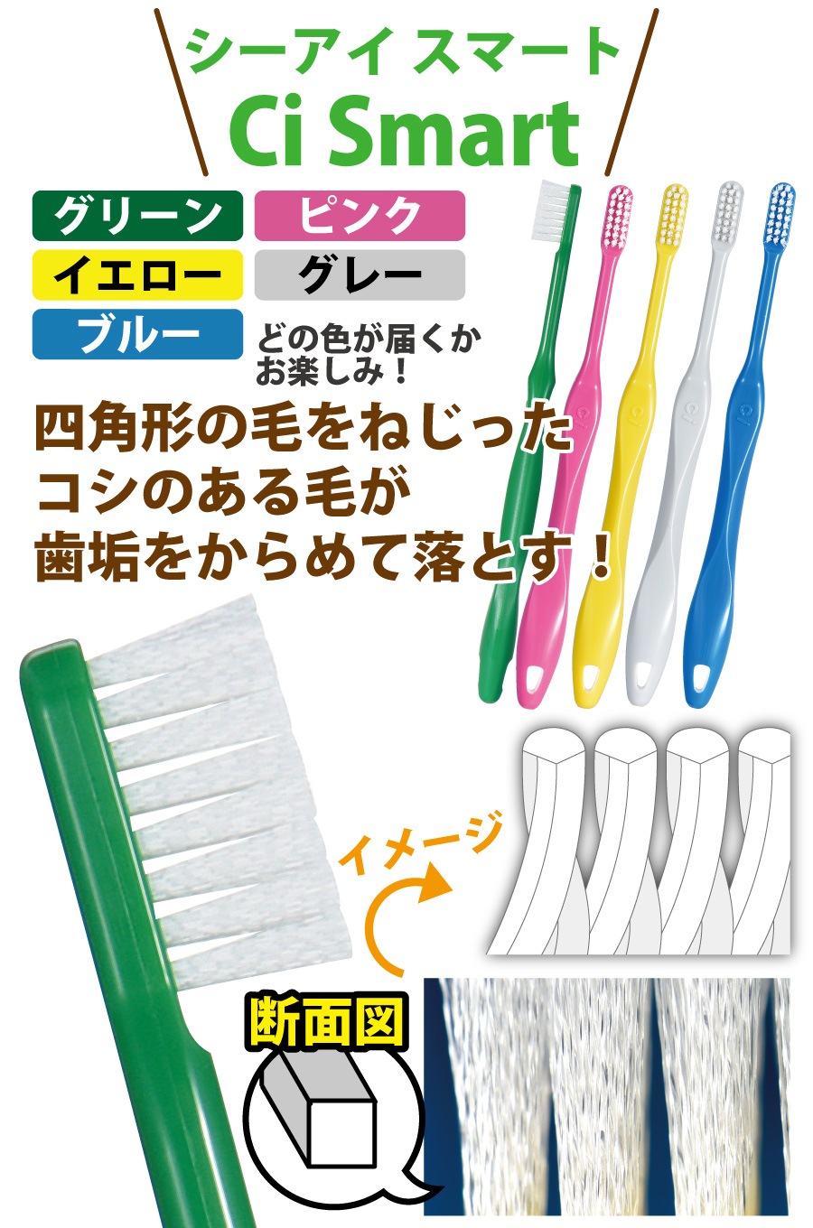 メール便で送料無料】日本製！いい歯応援3種の歯ブラシ M(ふつう) 15本