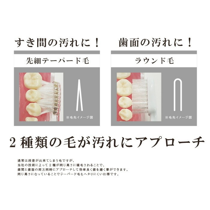 �ڥ᡼���ؤ�����̵����CORAFTURE Re:TAN ���֥饷 1��(�򡦹�) ���餫��