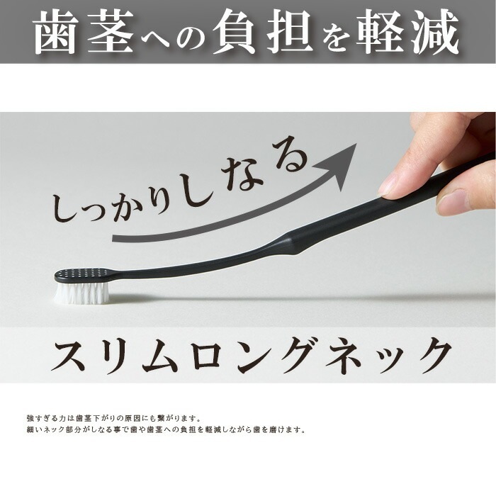 �ڥ᡼���ؤ�����̵����CORAFTURE Re:TAN ���֥饷 1��(�򡦹�) ���餫��