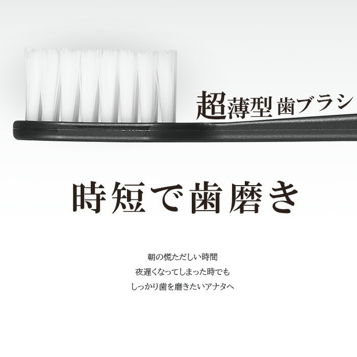 �ڥ᡼���ؤ�����̵����CORAFTURE Re:TAN ���֥饷 1��(�򡦹�) ���餫��