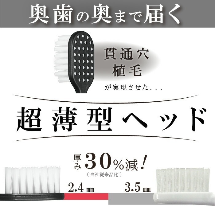 �ڥ᡼���ؤ�����̵����CORAFTURE Re:TAN ���֥饷 1��(�򡦹�) ���餫��