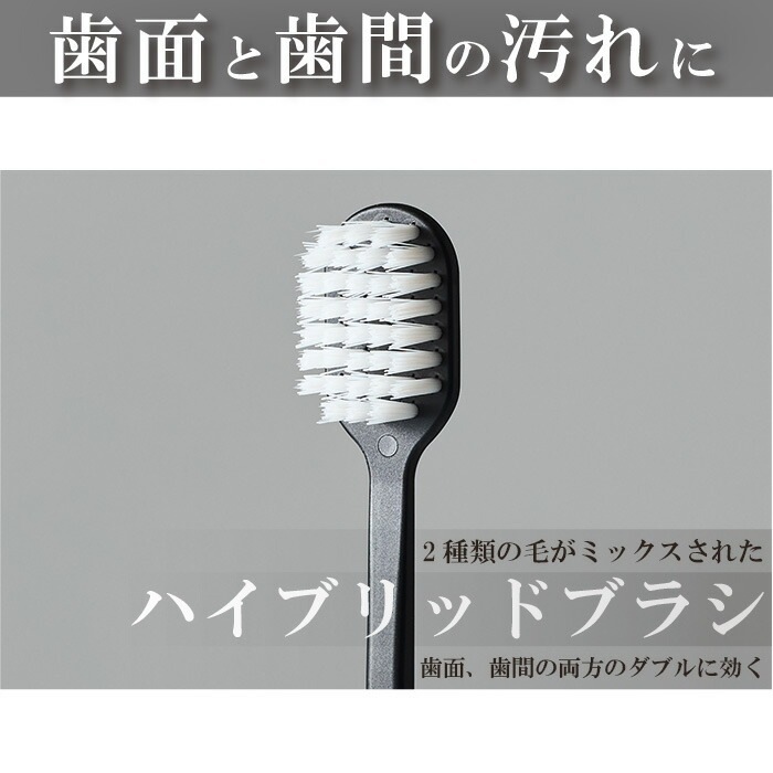 �ڥ᡼���ؤ�����̵����CORAFTURE Re:TAN ���֥饷 1��(�򡦹�) ���餫��