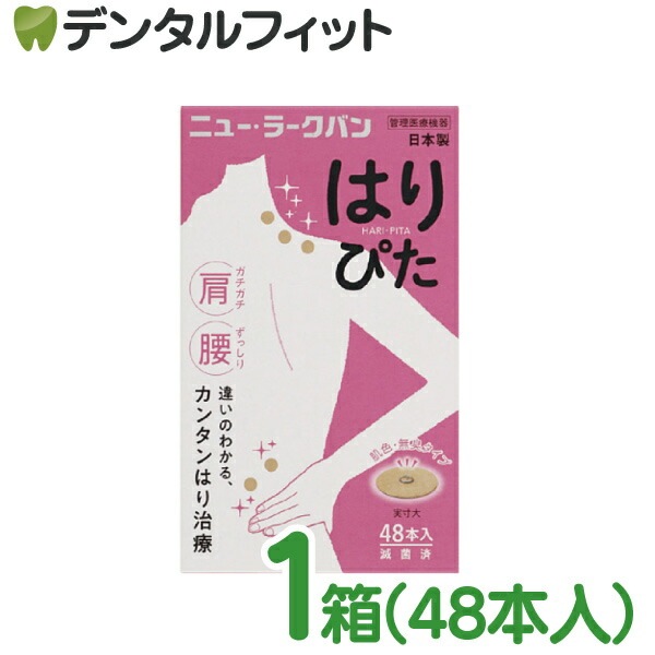 �˥塼���顼���Х� �Ϥ�Ԥ� 1Ȣ(48��)