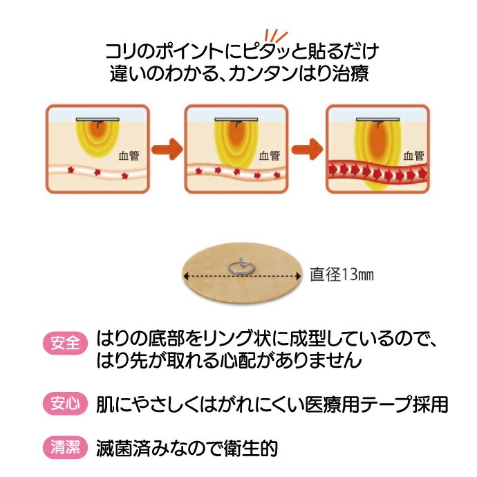 �˥塼���顼���Х� �Ϥ�Ԥ� 1Ȣ(48��)