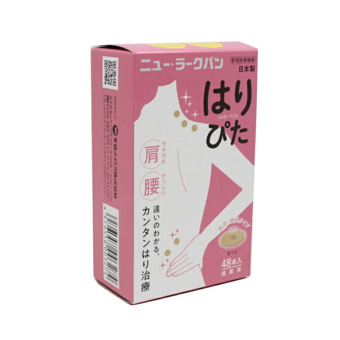 �˥塼���顼���Х� �Ϥ�Ԥ� 1Ȣ(48��)