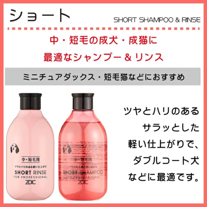 ゾイック (ZOIC) ゾイック N シャンプー リンス 2本セット (300ml/本