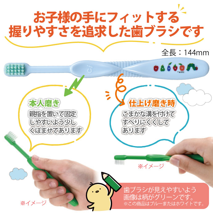 Ciå ֥饷 å Ϥڤष ۥ磻/֥롼 MդĤ 30 