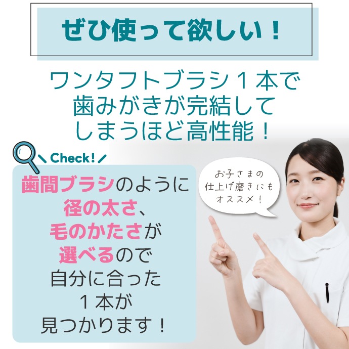 CiPRO 󥿥ե ֥饷 顼M/S쥮顼M/SѥMS 150