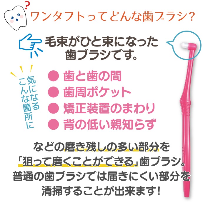 CiPRO 󥿥ե ֥饷 顼M/S쥮顼M/SѥMS 150