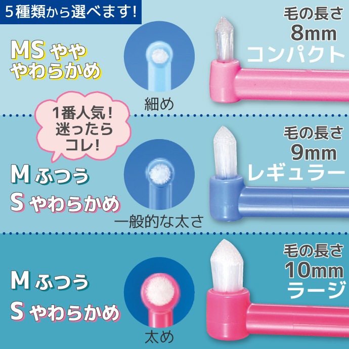 CiPRO 󥿥ե ֥饷 顼M/S쥮顼M/SѥMS 150