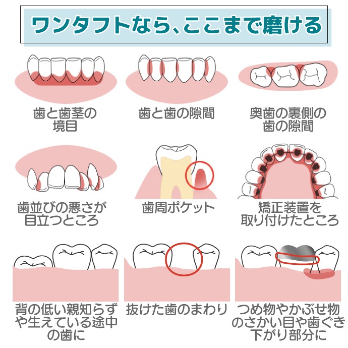 CiPRO 󥿥ե ֥饷 顼M/S쥮顼M/SѥMS 150