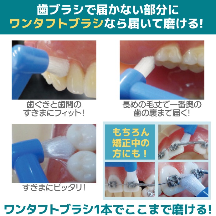 CiPRO 󥿥ե ֥饷 顼M/S쥮顼M/SѥMS 150