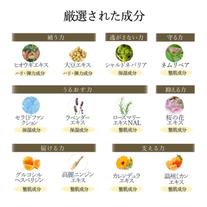 NAGASE Night Cream ナガセ ナイトクリーム 化粧品/ 1本(32g) 保湿