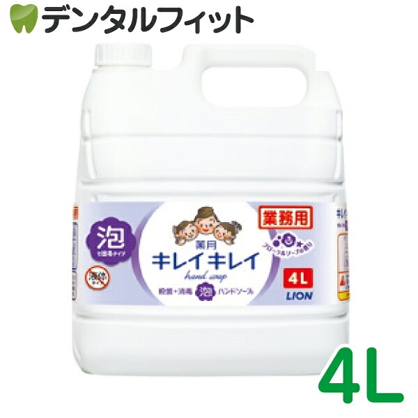 ���쥤���쥤 ����ˢ�ϥ�ɥ����� [LION] �ե�����륽���פι�� 4L����