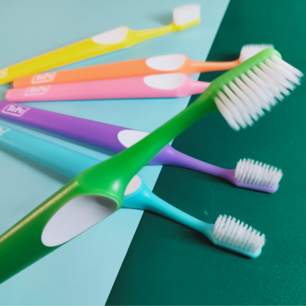 TePe �ƥ� ���ץ꡼�� ���֥饷 �쥮��顼������ѥ��� 1��20��