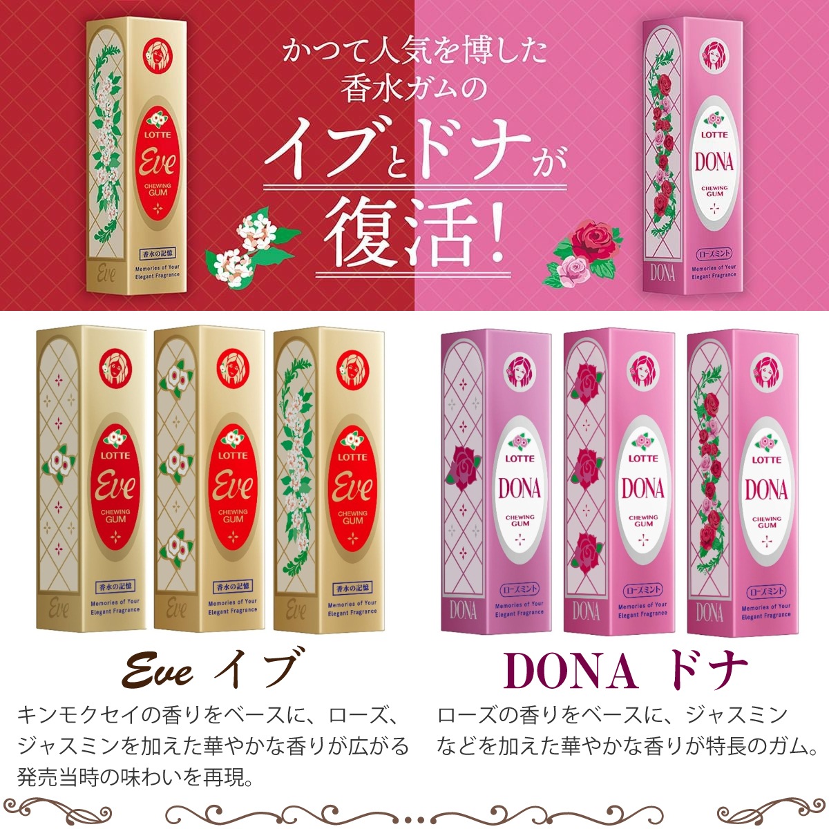 �ڥ᡼��������̵���ۥ��å� ���� ����/�ɥ� ���� ���� Eve/Dona ��奬�� 9����10�ĥ��å� ����