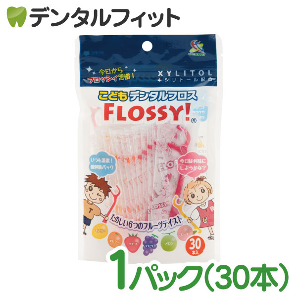 ���ɤ����ѥե��� FLOSSY!(�ե��å���) 1��(������/30����)