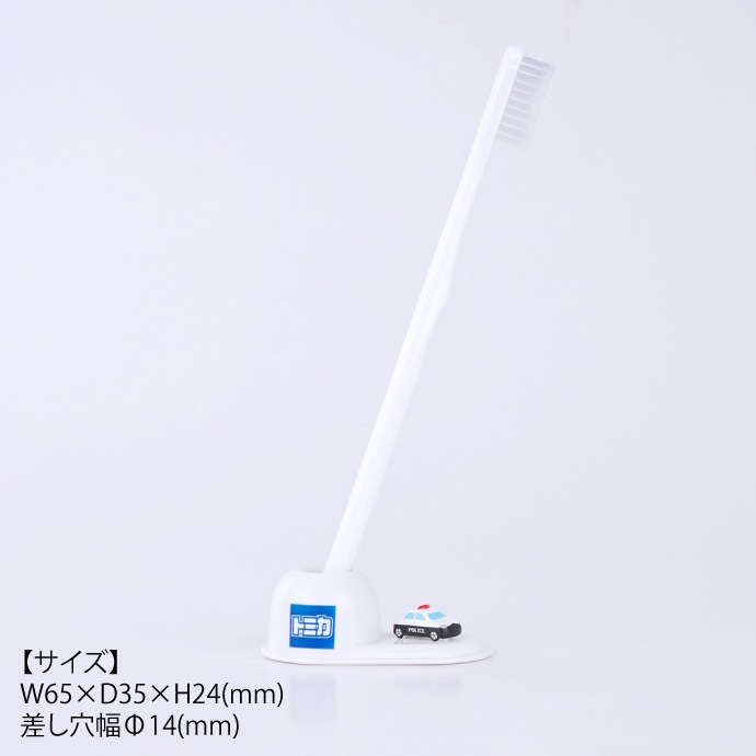 ٸȯܰ¡١˻֥饷 (ѥȥ/ȥߥ)  TC-3553 1 Hashy 