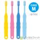 Ci 502 / M�դĤ� / 5������Ci��ǥ����� ���֥饷��