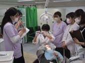 ڻʱδåޥĶȥ顼Ϸ/½ѡʥå