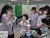 ڻʱδåޥۡSRP½ɬפʴμȥåȥ顼