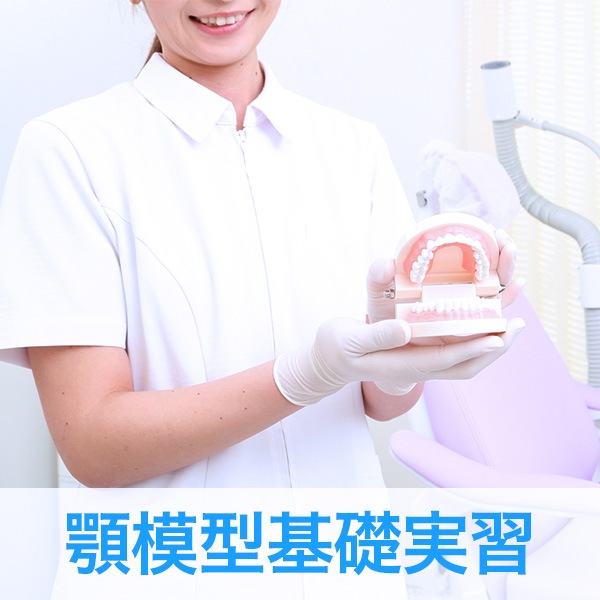 歯科衛生士基礎マスター】【SRP実習】必要な基礎知識とキュレット