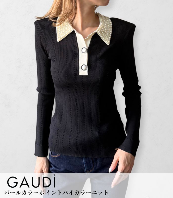 【GAUDI】パールカラーポイントバイカラーニット★☆IT521FD53035