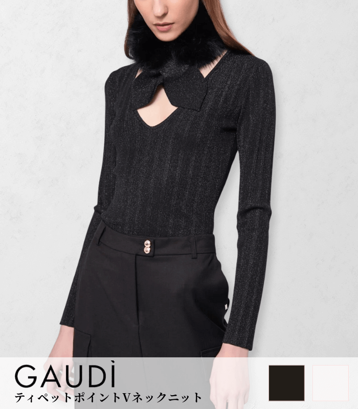 【GAUDI】ティペットポイントVネックニット★IT521FD53032