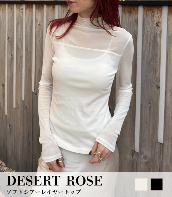 【DESERT ROSE】ソフトシアーレイヤートップ★BDCS-67