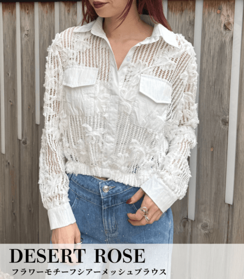【DESERT ROSE】フラワーモチーフシアーメッシュブラウス★BDBL-20