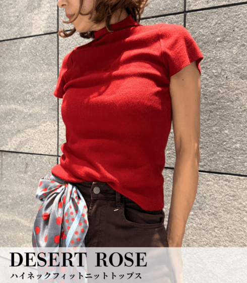 【DESERT ROSE】ハイネックフィットニットトップス★☆DSKT-16
