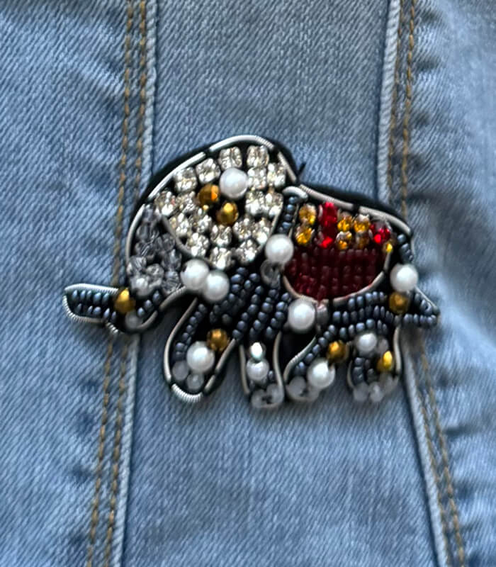 【FLY GIRL】ブローチ付きデニムジャケット★☆IT6533-24