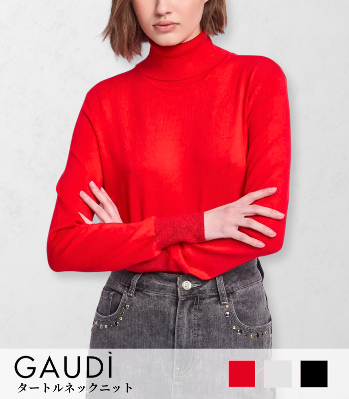 【GAUDI】タートルネックニット★IT521BD53018