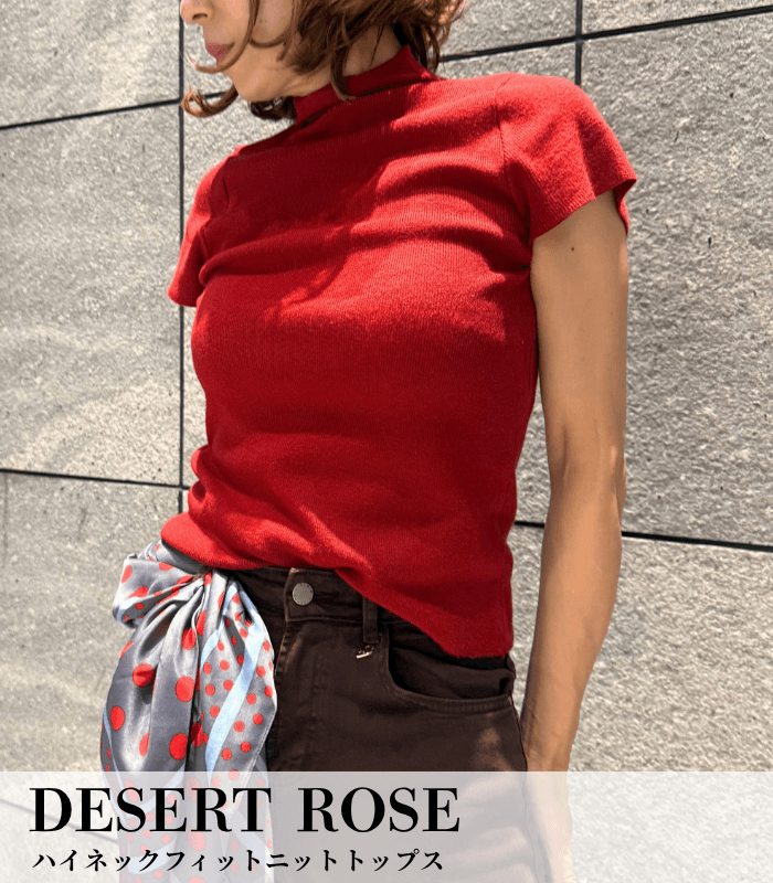 【DESERT ROSE】ハイネックフィットニットトップス★☆DSKT-16