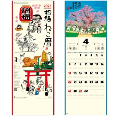 2025ǯ佪λ侷ʡͤʾ˨̾쥫