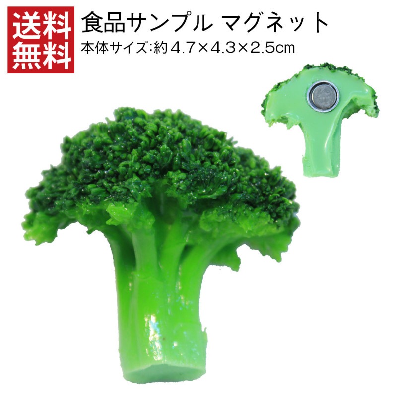 【送料無料】食品サンプル マグネット ブロッコリー