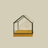 Holz/in HOUSE 60/硼 ʪ/ץ ƴˤΥץ ƴholz