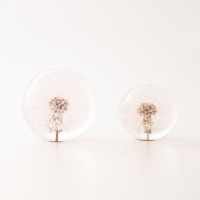  �ڡ��ѡ��������� ���饹 / ��ʸ�� �����襦����ݥ� S / hafod grange �ϥե��ɥ���� [ ��ʸ�� �ڡ��ѡ��������� ���饹 ������� ���ե� �ץ쥼��� ]�ڤ椦�ѥ��å��Բġ�