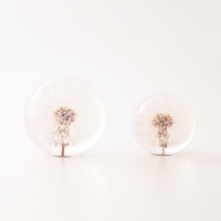  ڡѡ 饹 / ʸ 襦ݥ S / hafod grange ϥեɥ [ ʸ ڡѡ 饹  ե ץ쥼 ]ڤ椦ѥåԲġ