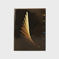 GRAPHIS TAKENOBU IGARASHI  DESIGN AND FINE ARTڤ椦ѥåԲġ