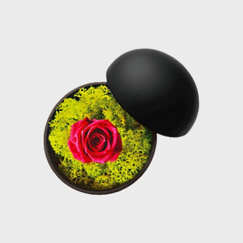 ¼Ϻ Koichiro Kimura ץꥶ֥ եܥå flower of love hot pink  [ եȡեե ]