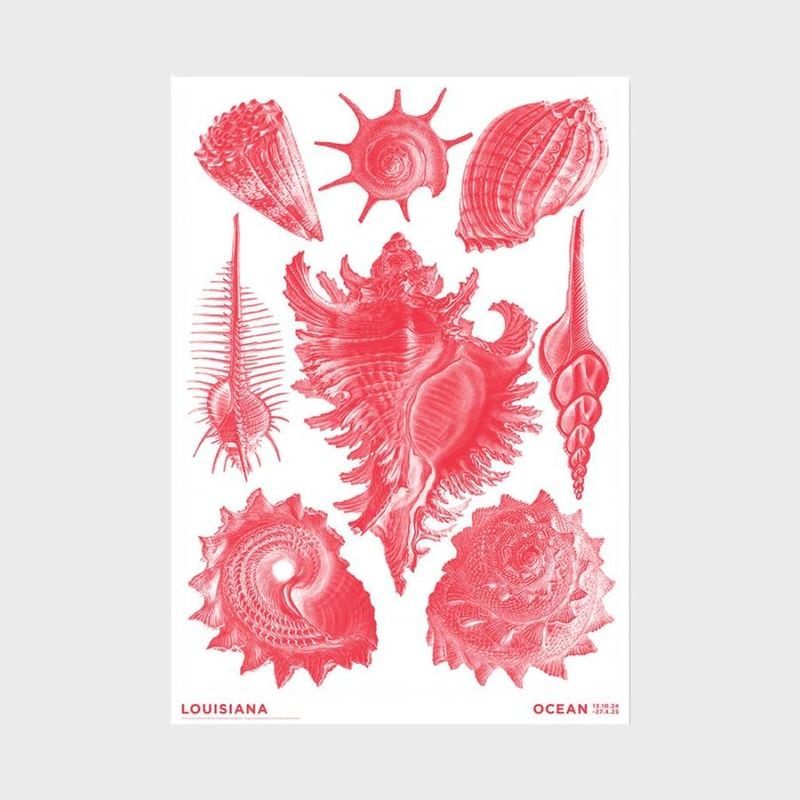 A2 �륤���������Ѵ� �ݥ����� Haeckel - Prosobranchia coral red - Ocean (2024) [ �̲� ����ƥꥢ ���� ������ ������� �ɳݤ� ���� ��ݲ� ���� ]�ڤ椦�ѥ��å��Բġ�