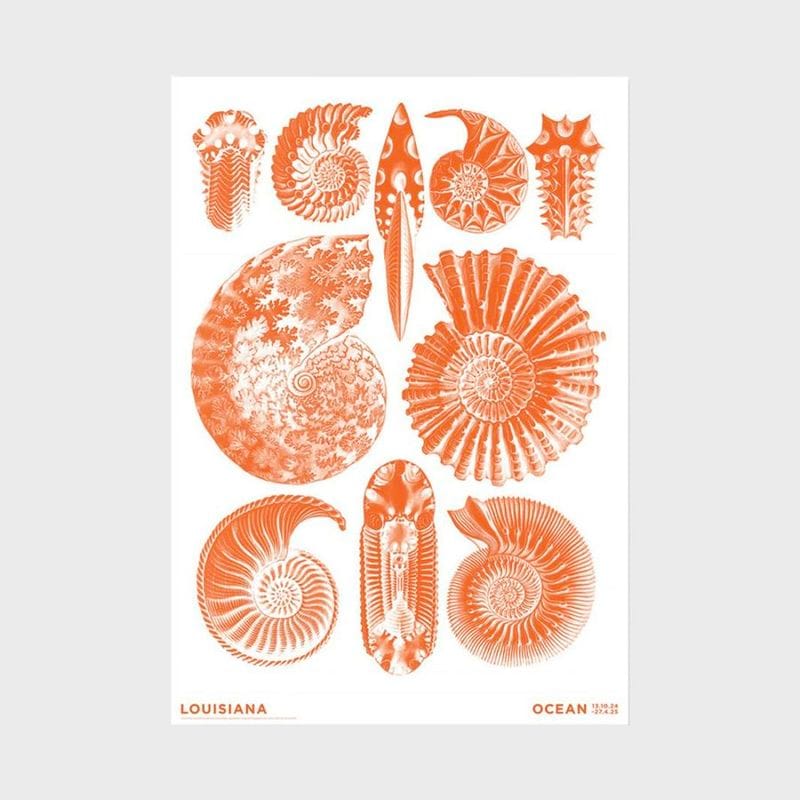 A2 �륤���������Ѵ� �ݥ����� Haeckel - Ammonitida orange - Ocean (2024) [ �̲� ����ƥꥢ ���� ������ ������� �ɳݤ� ���� ��ݲ� ���� ]�ڤ椦�ѥ��å��Բġ�