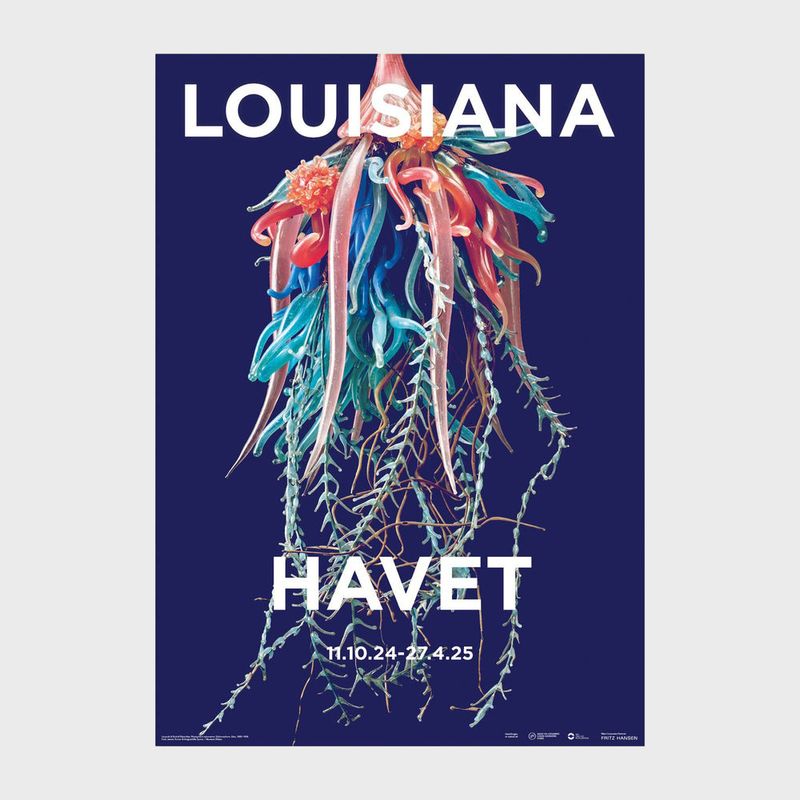 A1�ݥ����� Leopold & Rudolph Blascka ? Physophora myzonema. Siphonophore. Glass (1860-1890)�ڤ椦�ѥ��å��Բġ�